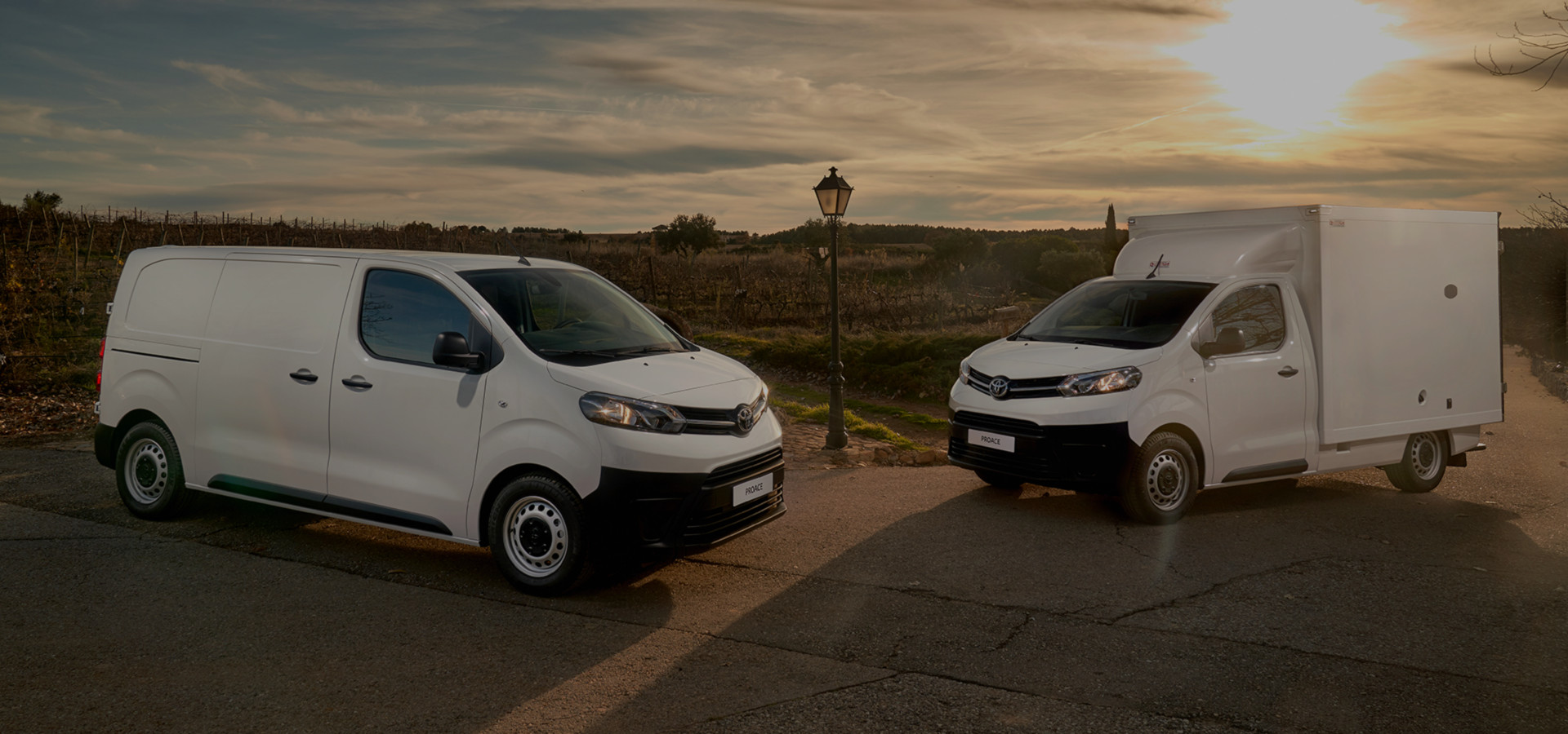 Vehículos carrozados para profesionales Toyota