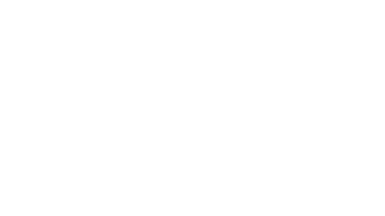 Toyota Sportwagen